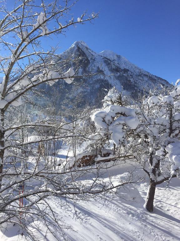 Apartment Bailom Bach (Tyrol)